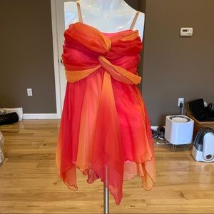 Costume Gallery Large Pink Dance Costume